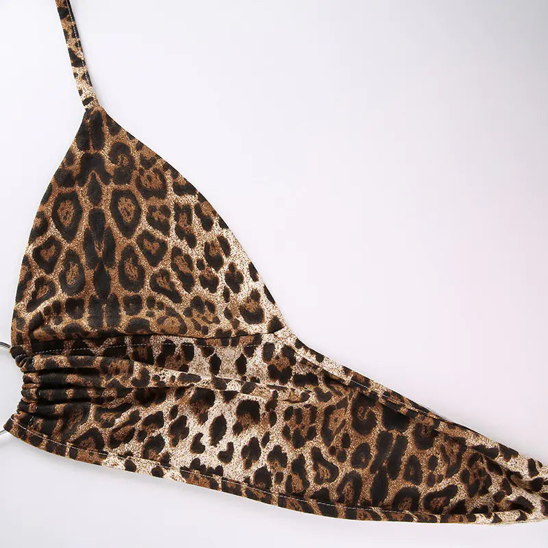 Leopard Print V-Neck Backless Lingerie Set