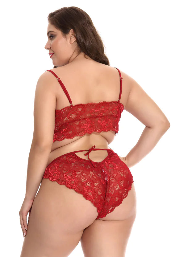 Plus Size Lingerie