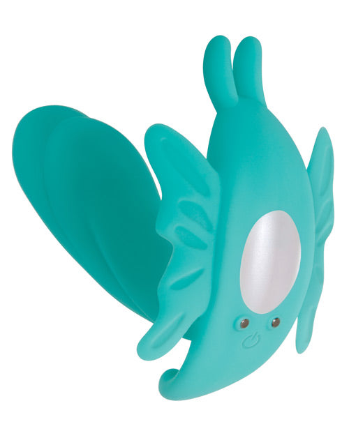 Teal fish-shaped object on a white background