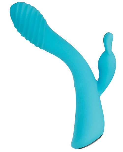 Blue dog toy on a white background