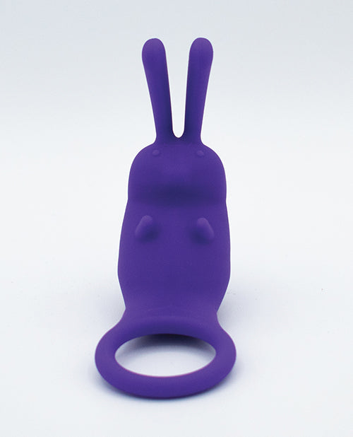 Purple silicone rabbit-shaped toy on a white background